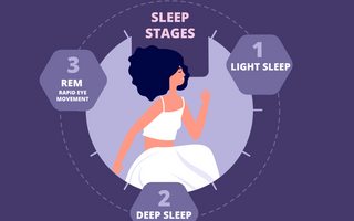 Sleep Explained: The Science Behind Our Nightly Rest